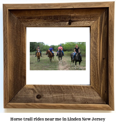 horse trail rides near me in Linden, New Jersey